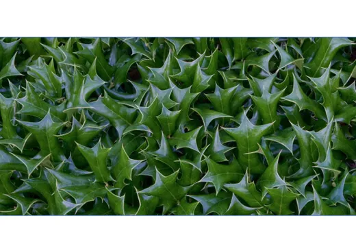 Find a photograph you’d like to work with