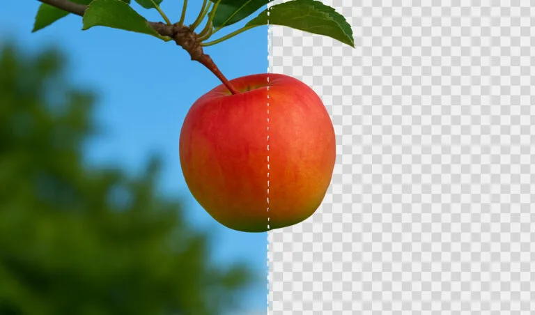 An image of a red apple hanging form a tree - half of the image has had the background removed using Photoshop