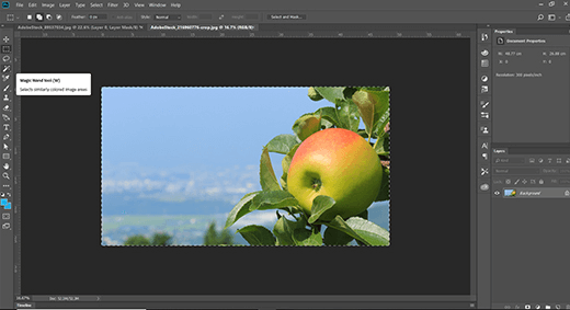 Using the Photoshop Magic Wand Tool - click the cursor anywhere within the area