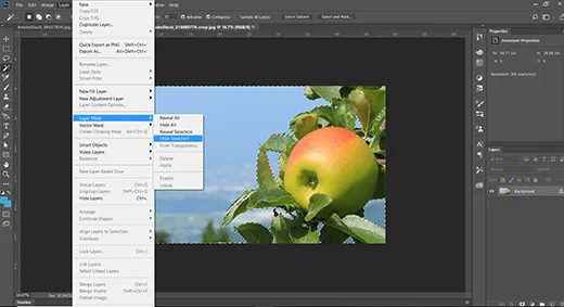 The area you selected with your Magic Wand Tool will now show as transparent.