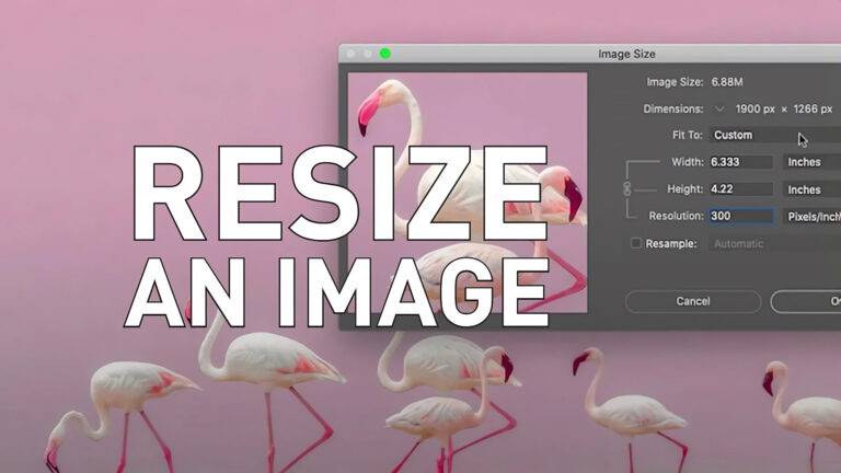 An example image of some flamingos being resized using Photoshop