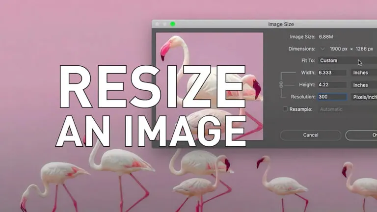 An example image of some flamingos being resized using Photoshop
