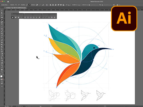 Adobe Illustrator Essentials course.